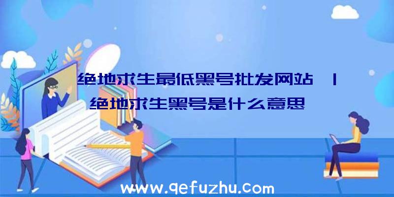 「绝地求生最低黑号批发网站」|绝地求生黑号是什么意思